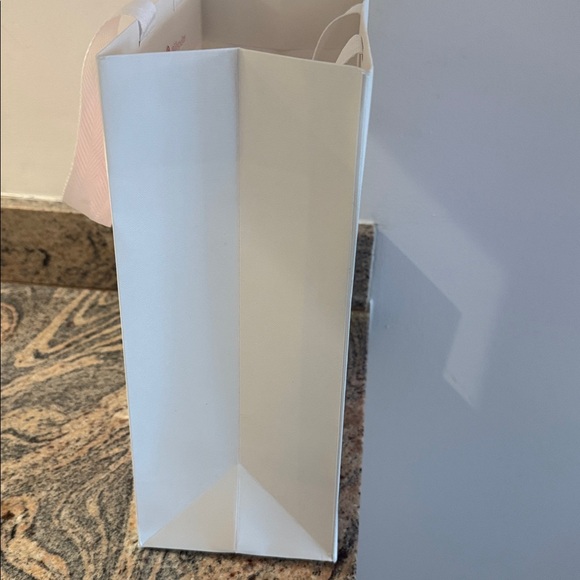 Lilly Pulitzer gift shopping bag. No defects. Used 1x to bring home purchase. - Picture 8 of 8